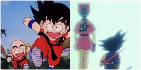 Ranking Goku's Best Friends .